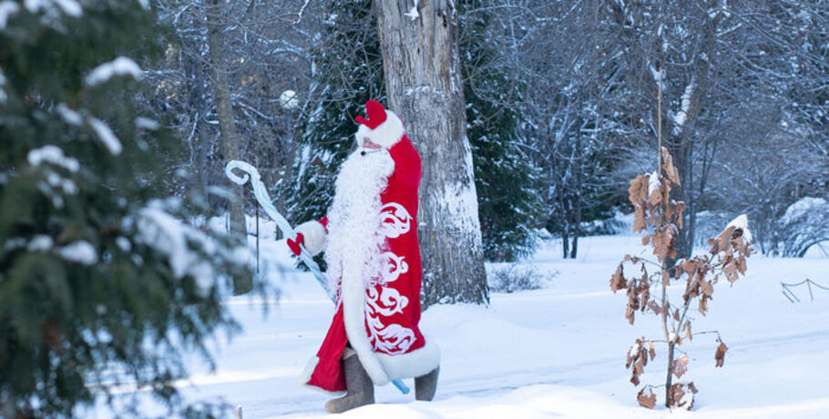 Резиденция Деда Мороза открывается в омском дендросаду имени Гензе