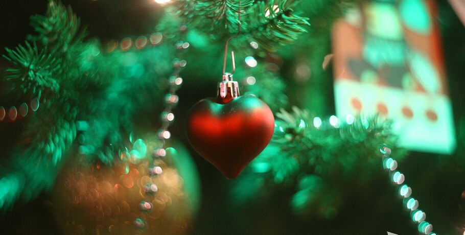 Омичи показали в фотографиях, каким может быть Новый год