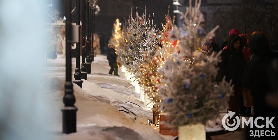 А было ли это в новогоднем Омске? Непростой тест под занавес каникул