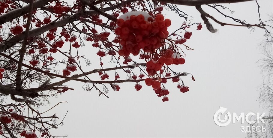 Сочельник под звуки метели: Омичей ждёт заснеженное Рождество и похолодание