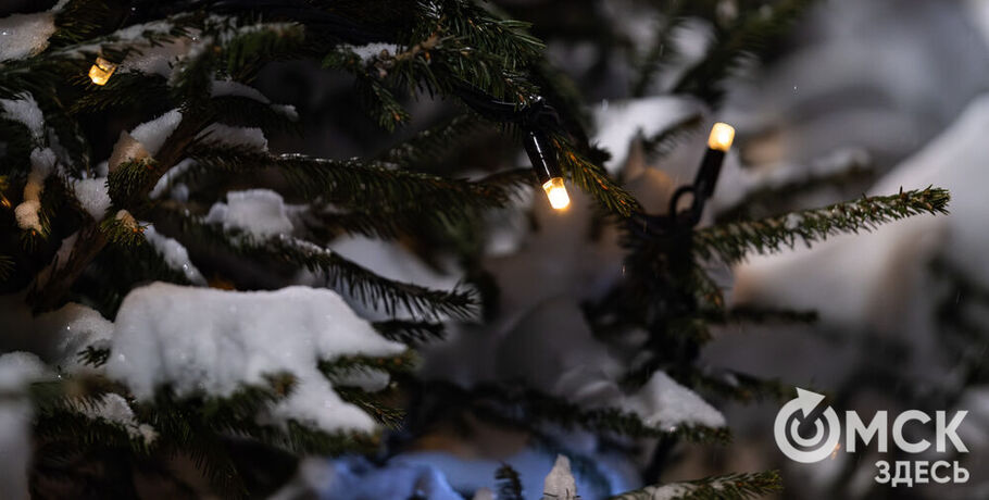 Две праздничные ели представят Омский регион на Всероссийском конкурсе