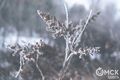 До выходных в Омске продержатся крепкие морозы