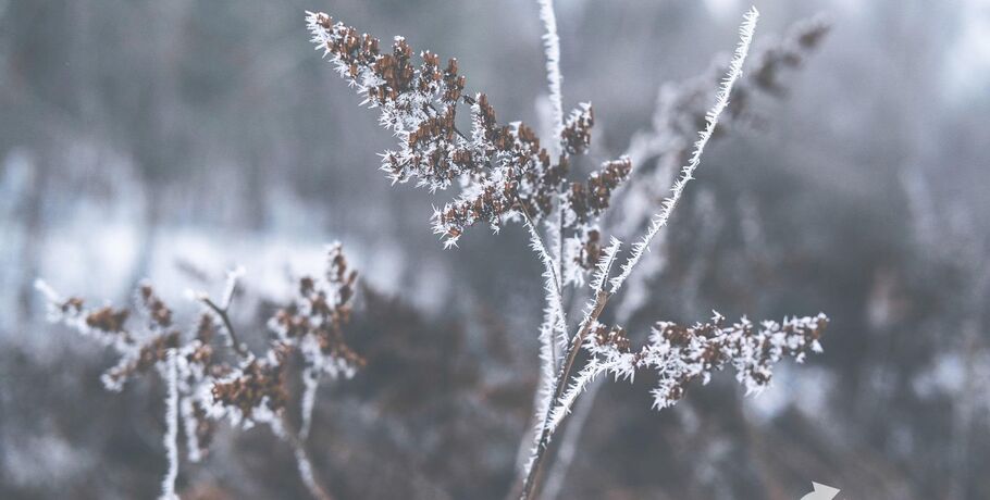 До выходных в Омске продержатся крепкие морозы