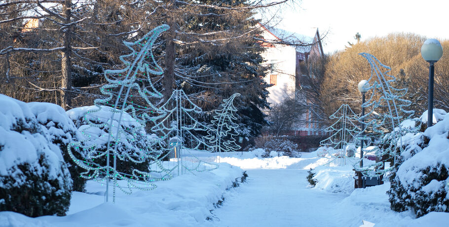Пернатый львёнок: в омском дендросаду "поймали" необычную синицу за трапезой