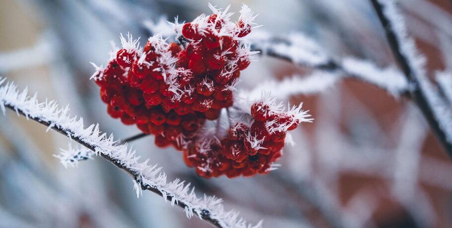 Омск покинули 30-градусные морозы