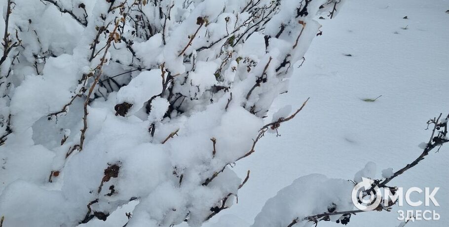 Красота сибирской зимы: галерея омских пейзажей в Арт-резиденции&nbsp;