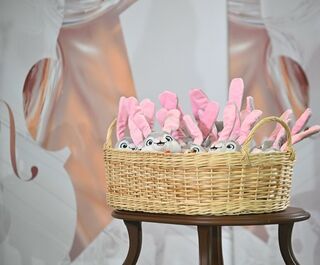 Жеребьёвка конкурса им. Вильгельма Шпета: плюшевые зайцы "выстроили"&nbsp;участников на прослушивания