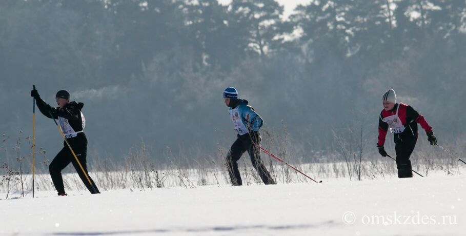 Признаться зимнему спорту в любви. Омичей зовут встать на лыжи