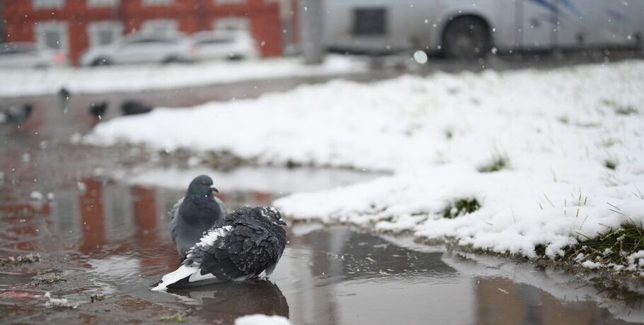 В Омск идёт краткосрочное потепление с мокрым снегом