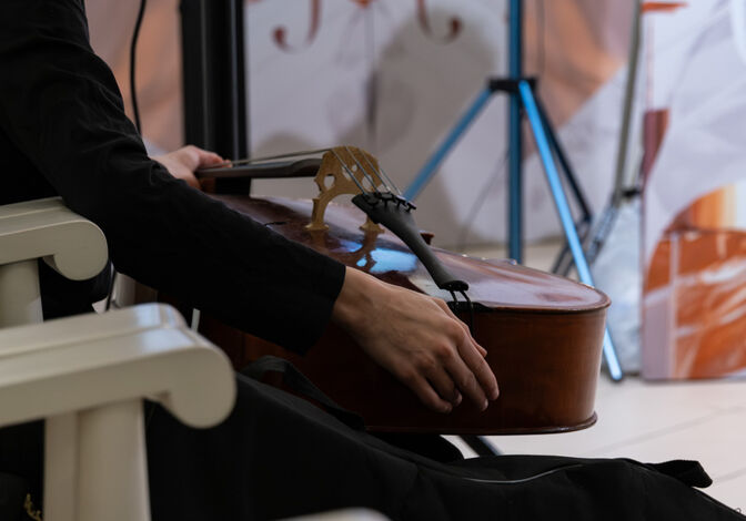 Альт как отдушина, королевская виолончель и скрипка во имя путешествий. Участники конкурса им. Шпета о себе и своих инструментах