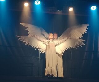 Благотворительный показ спектакля в помощь омскому приюту для животных собрал полный зал