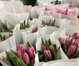 Символы загадочности и утончённости. Какие цветы заменят голландские розы и тюльпаны