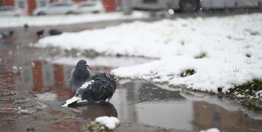 Погодные качели весны: трескучий мороз напоследок испытает омичей
