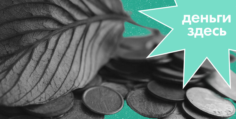 Деньги Здесь: санация банка