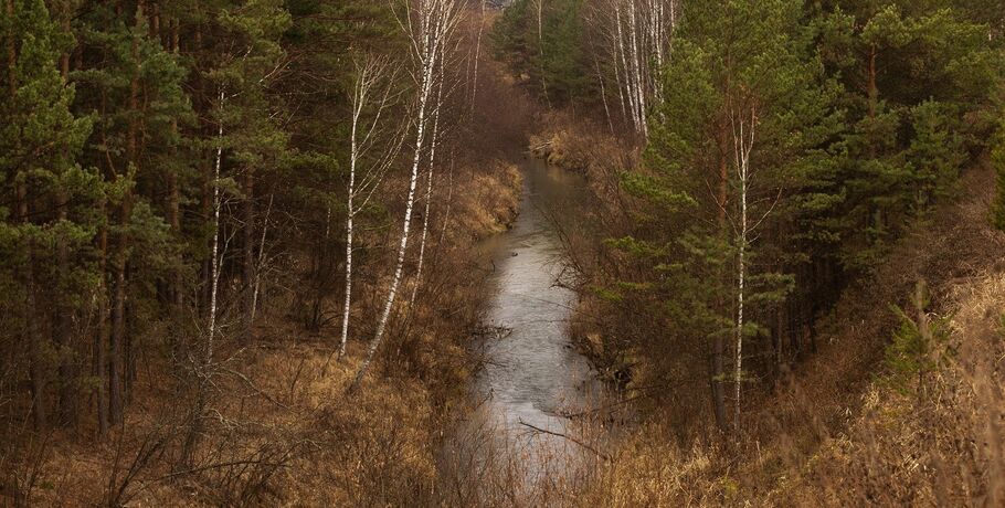 Поисково-спасательные отряды Омска ищут добровольцев