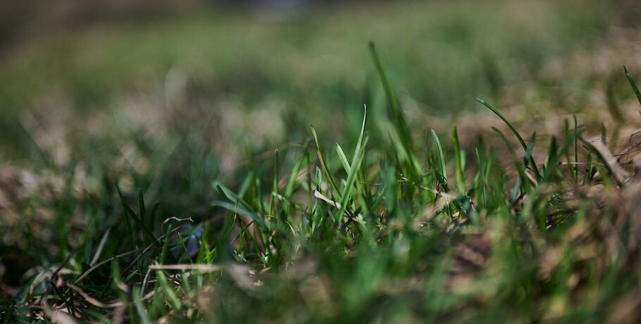 Макровесна. Как Омск готовится к смене сезонов