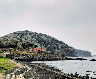 Цветущая сакура, Пусан и остров Чеджудо. Как книги блогера до Южной Кореи "довели"