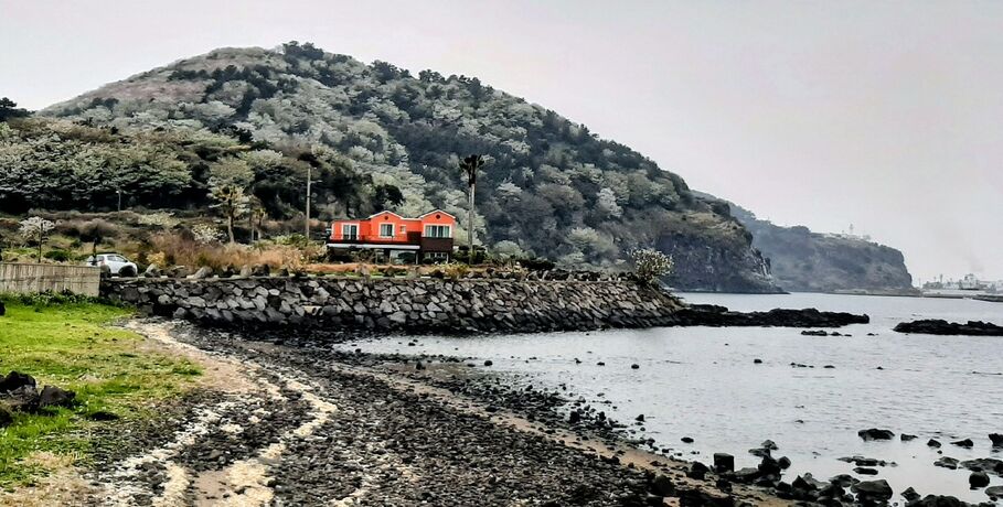 Цветущая сакура, Пусан и остров Чеджудо. Как книги блогера до Южной Кореи "довели"