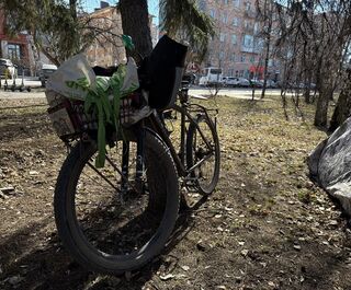 Из Таксимо в Питер. "Отчаянный велогитарист" остановился в Омске во время большого путешествия по России
