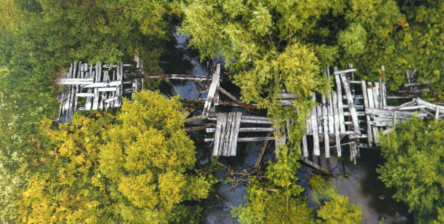 Тара - река нашего сердца. История продолжительностью в 20 лет собралась на омской фотовыставке