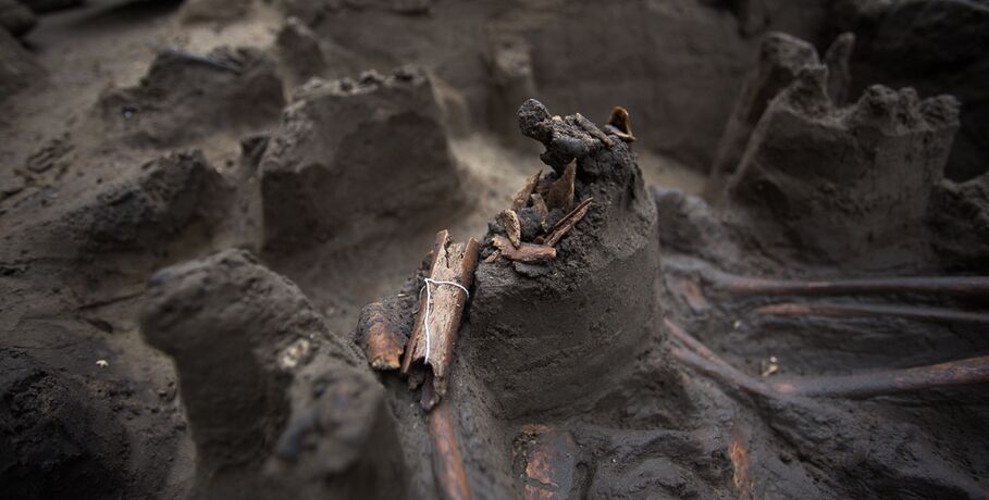 В Омской области пересчитают сохранившиеся и утраченные памятники археологии