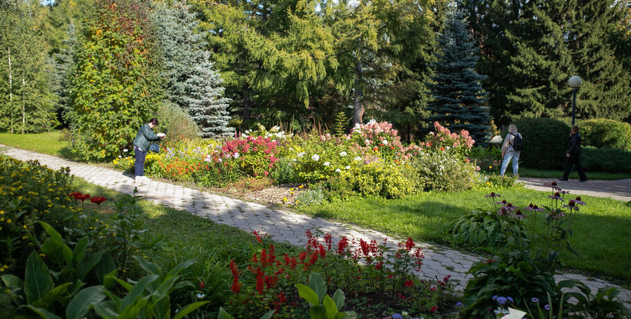 "Экодесант" наведёт чистоту в дендросаде им. Гензе