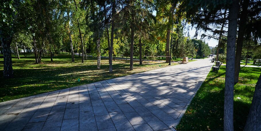 15 вариантов: омичи выберут локации для благоустройства в 2027-м