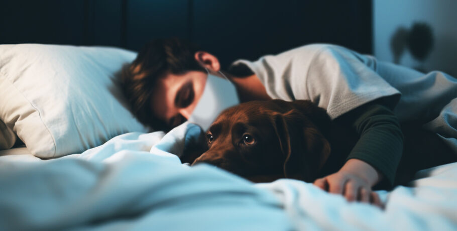 Бесплатно и может спасти жизнь: где в Омске вакцинировать питомца от бешенства