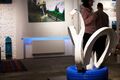 ЖЭК-арт (не) кодируется. Шинным лебедям запретили "виды на жительство"