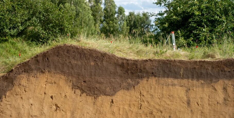 Более 600 артефактов найдено на стоянке "Черноозерье II" в Омской области этим летом