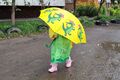 Слушаем музыку на пикнике, гуляем по альтернативному городу, лечим любовные расстройства: чем заняться в Омске в выходные Слушаем музыку на пикнике, гуляем по альтернативному городу, лечим любовные расстройства: чем заняться в Омске в выходные