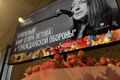 "Музей дураков" и литературная запрещёнка. Какие ещё секреты хранила библиотека Егора Летова "Музей дураков" и литературная запрещёнка. Какие ещё секреты хранила библиотека Егора Летова