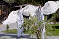 40 лет добра и заботы. Большереченский зоопарк отметил юбилей 40 лет добра и заботы. Большереченский зоопарк отметил юбилей