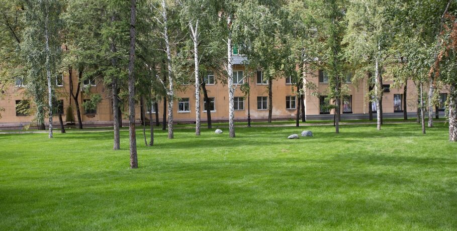 Из рощи в парк: на "Московке-2" обновят зелёную зону