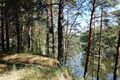 Камыш Ипполит и Леканора настенная. Учёные обновляют Красную книгу Омской области Камыш Ипполит и Леканора настенная. Учёные обновляют Красную книгу Омской области