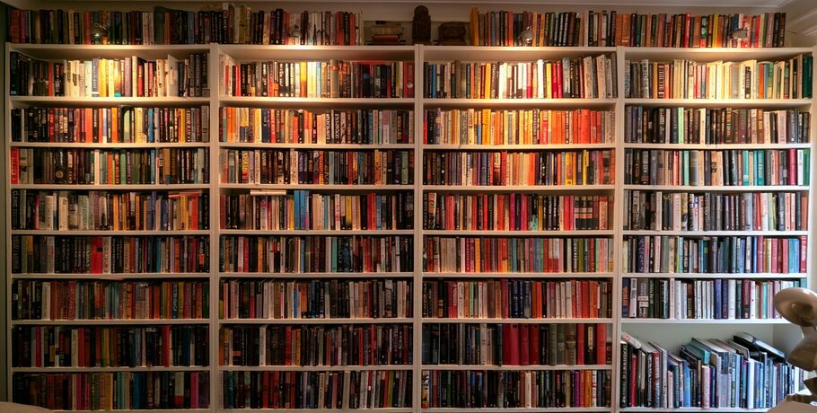 "Всё идет по плану", написанному книгами. Изучаем цифровую копию библиотеки Летова