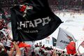 В "Авангарде" назвали главную причину неудач В "Авангарде" назвали главную причину неудач