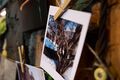 "Улыбайтесь в объектив". В омских парках установили фотоавтоматы для моментальных селфи "Улыбайтесь в объектив". В омских парках установили фотоавтоматы для моментальных селфи