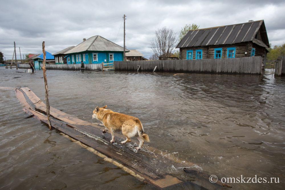Подтопленные дома и приусадебные участки в селе Эбаргуль, Усть-Ишимский район