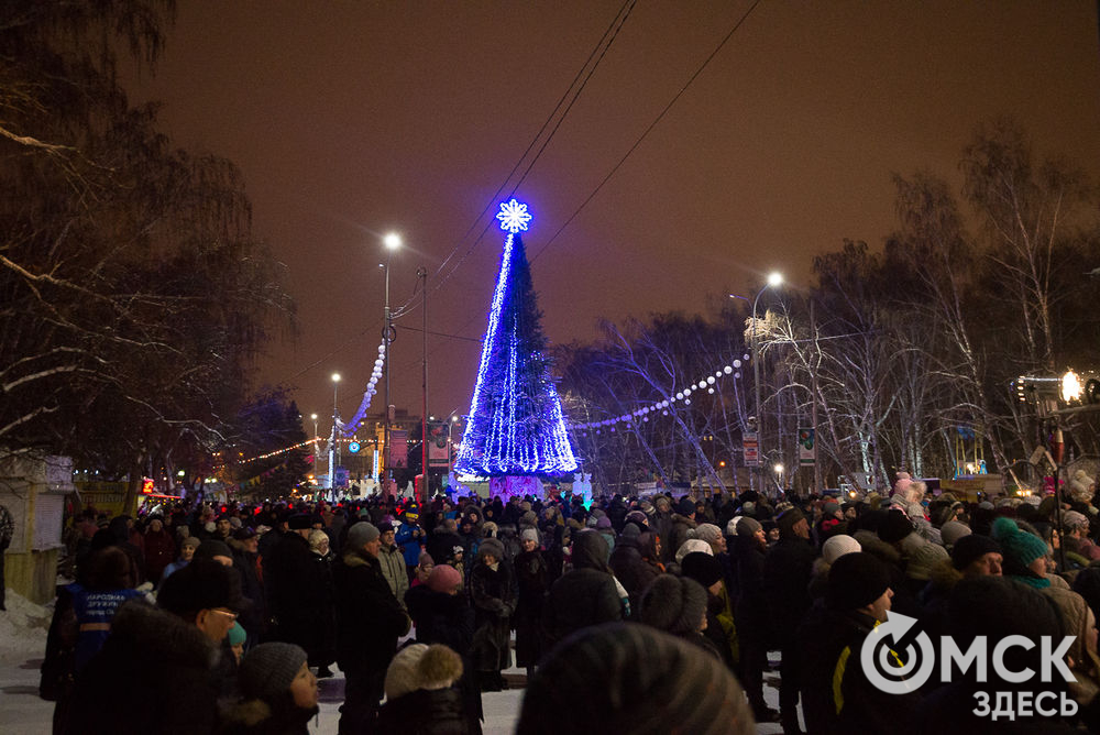 В парке 30-летия ВЛКСМ открылась главная городская елка. В новогоднюю ночь здесь пройдет праздничная программа. Фото: Илья Петров.