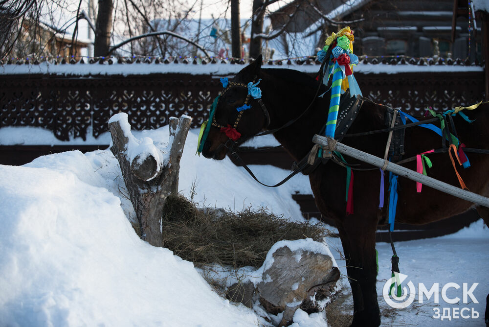 С 15 декабря по 31 января в музее-заповеднике "Старина Сибирская" работает сказочная усадьба Деда Мороза (0+). Фото: Илья Петров