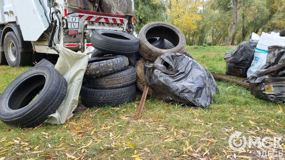 В Омской области завершился Евразийский Кубок чистоты