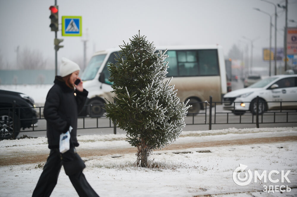 В последний день осени на город опустился плотный туман, а всё вокруг покрылось инеем. Фото: Илья Петров