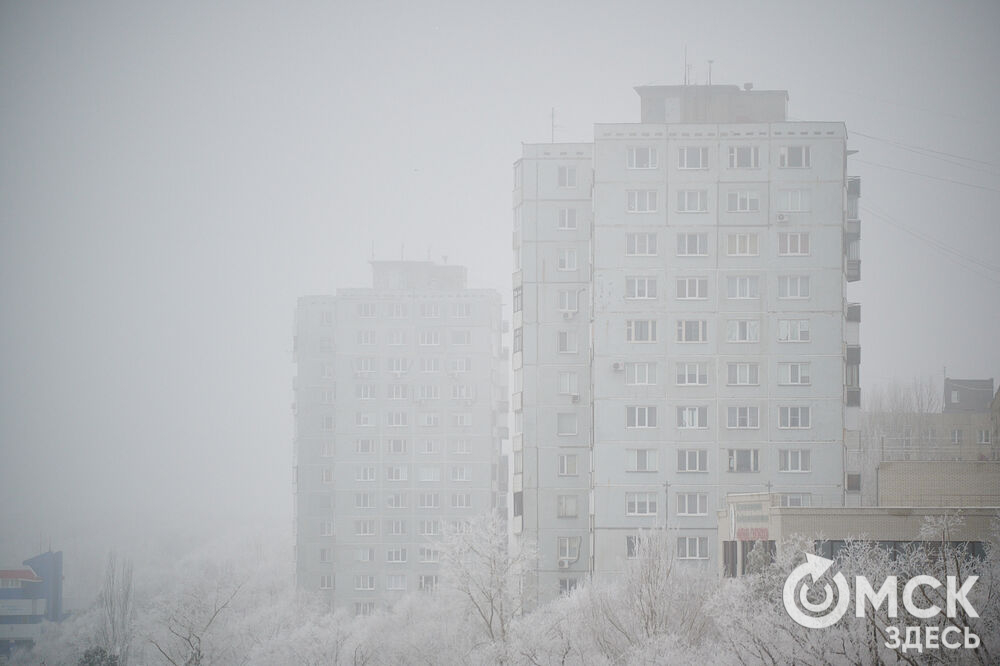 В последний день осени на город опустился плотный туман, а всё вокруг покрылось инеем. Фото: Илья Петров