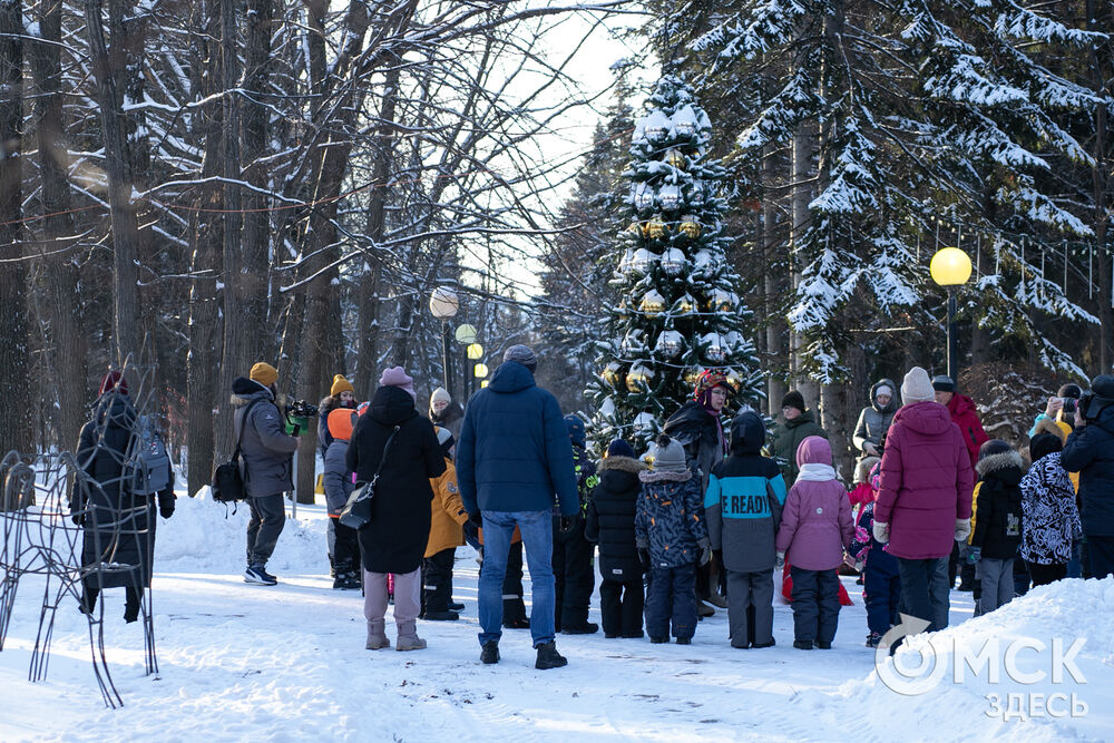 Резиденция Деда Мороза в дендропарке