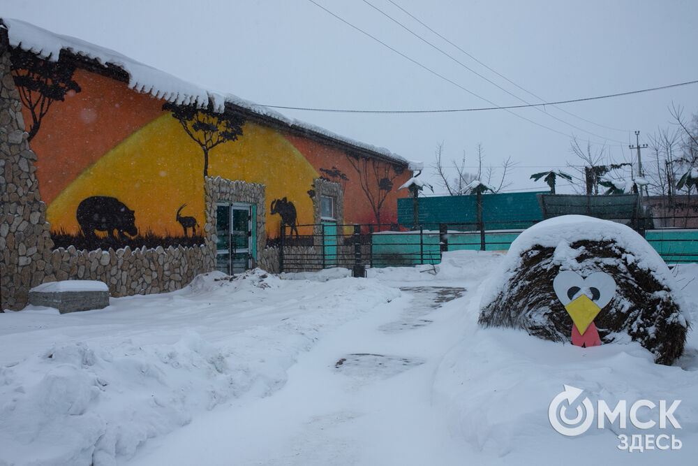 Отправляемся за 200 км от Омска, чтобы насладиться природой. Подробнее здесь . Фото: Елизавета Медведева