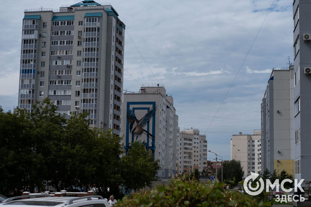 Граффити в микрорайоне Модерн в рамках международного арт-фестиваля "Омск, ты просто космос!"