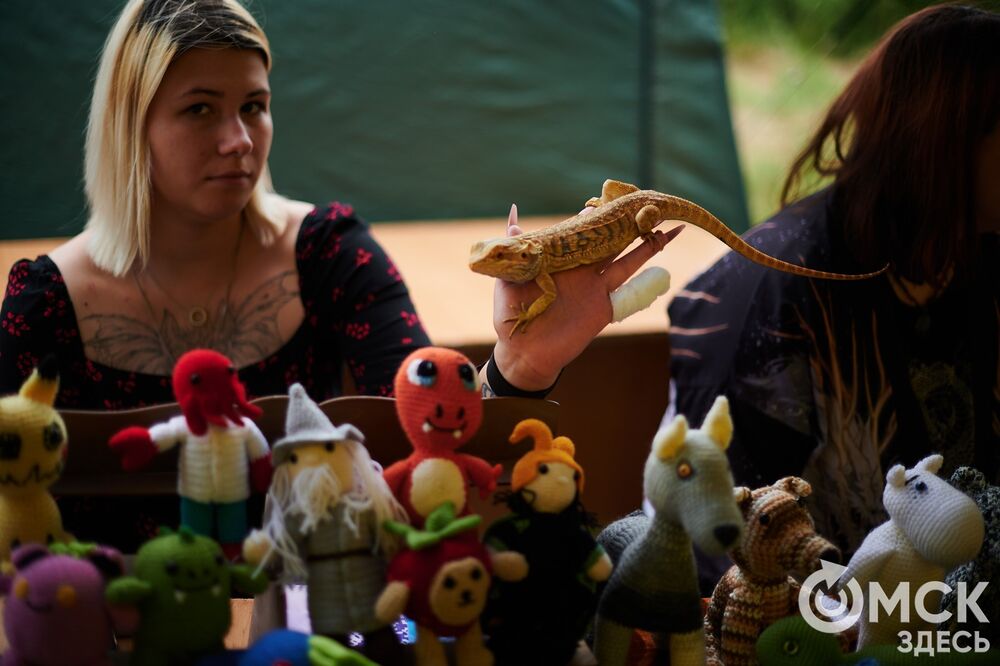 Исторический фестиваль "Щит Сибири" (0+) прошёл в Омске в День города. Фото: Илья Петров