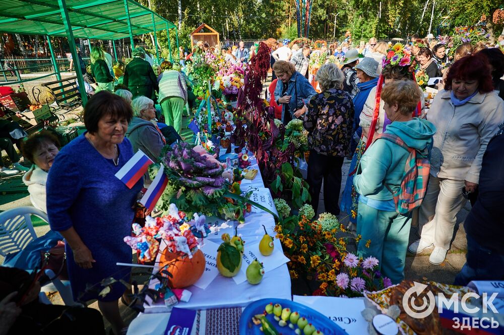 Замысловатые дачные экспонаты представили в парке им. 30-летия ВЛКСМ. Подробнее: читайте здесь . Фото: Илья Петров