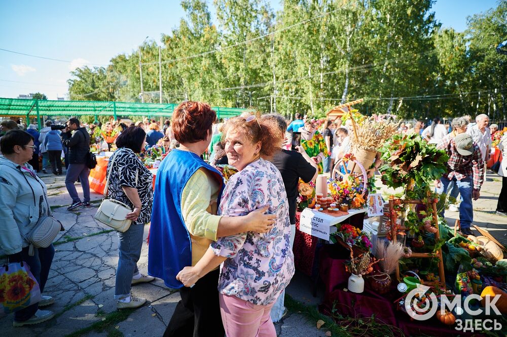 Замысловатые дачные экспонаты представили в парке им. 30-летия ВЛКСМ. Подробнее: читайте здесь . Фото: Илья Петров